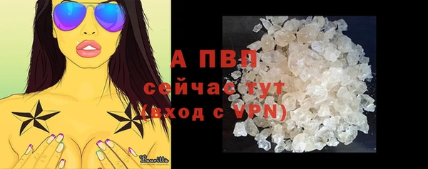 гидра Верхний Тагил