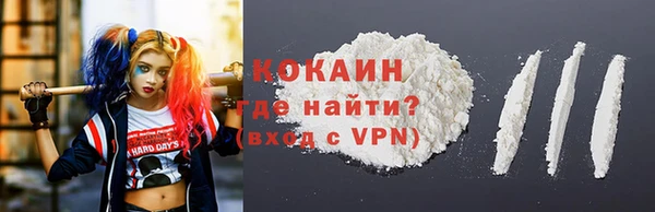 гидра Верхний Тагил