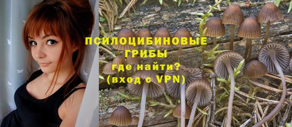 сатива Верхнеуральск