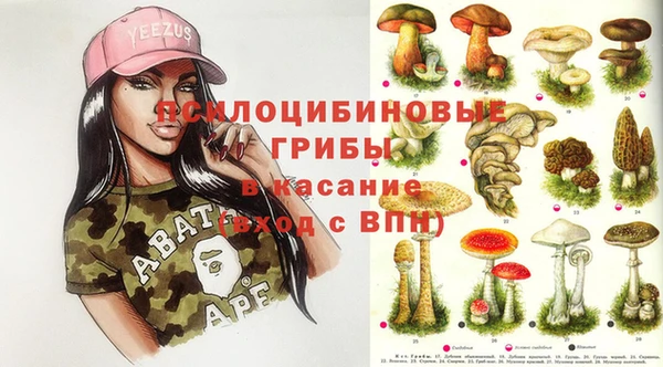 сатива Верхнеуральск