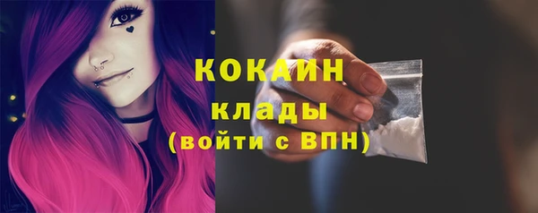 гидра Верхний Тагил