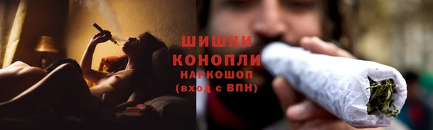 гидра Верхний Тагил