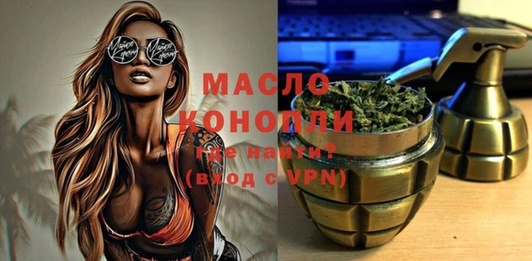 гидра Верхний Тагил