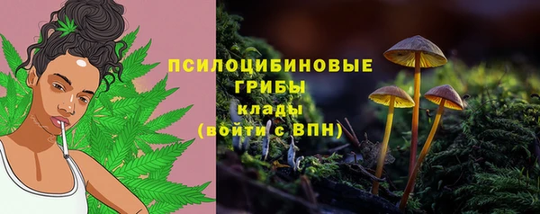 гидра Верхний Тагил