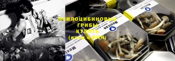 сатива Верхнеуральск