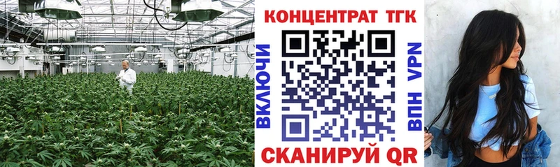 Купить закладки  Жердевка  ТГК THC oil 