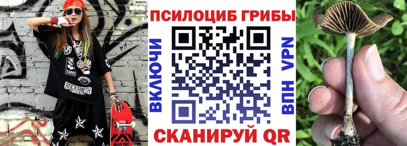 Купить где  Жердевка  Псилоцибиновые грибы Psilocybine cubensis 