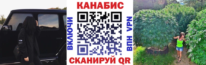 Конопля Amnesia Жердевка